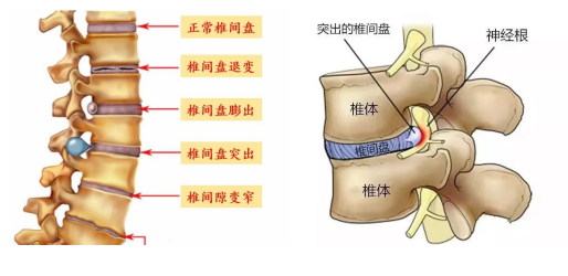 微信图片_20240425091127.png